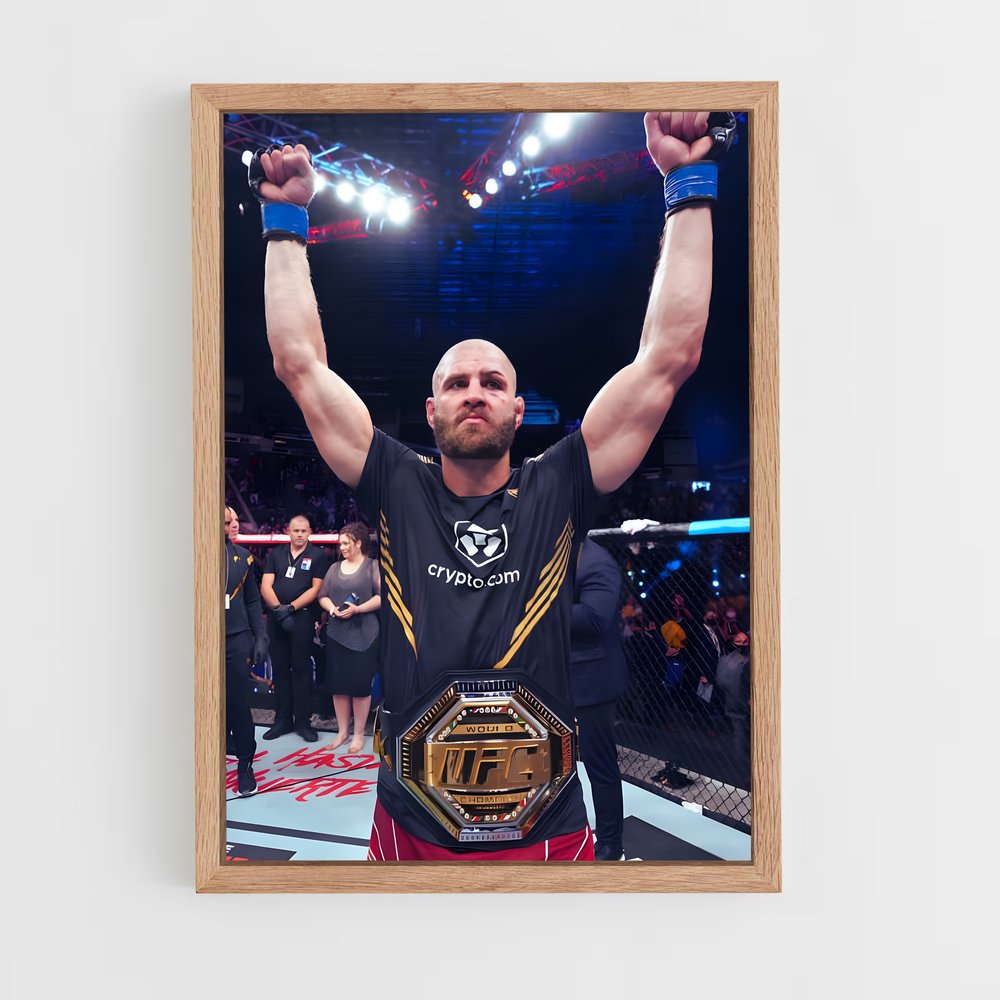Poster La Victoire de Jiri – affiche MMA (vue 4)